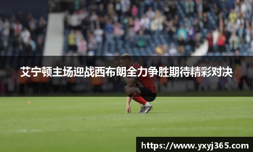 乐发Vll官网